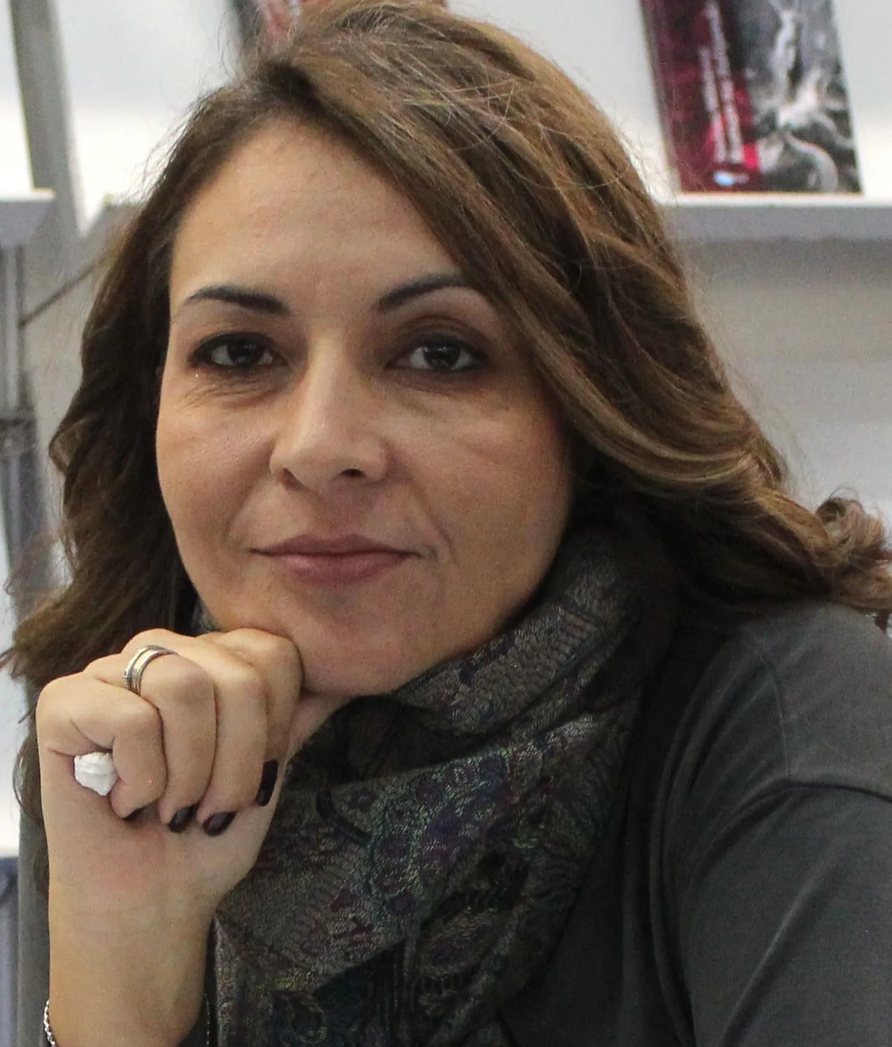 Ilustracija za tekst Knjiga Irine Milutinović u izdanju Arhipelaga i IES: Hibridni mediji i hibridni režimi