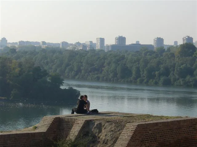 Vida Ognjenović – Esej