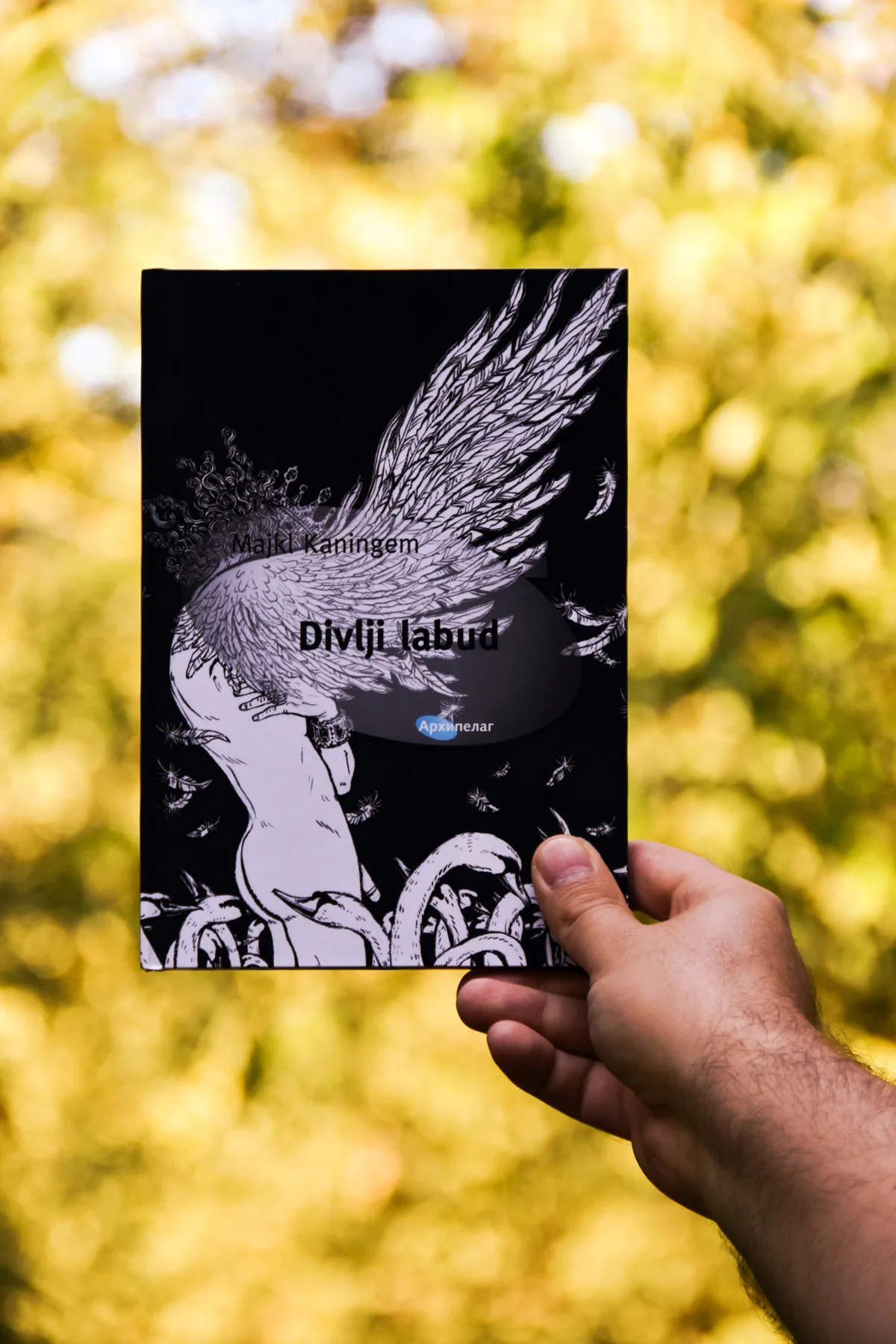 Ilustracija za tekst Najlepše fotografije s knjigom Arhipelaga: foto konkurs Arhipelaga povodom 18 godina rada